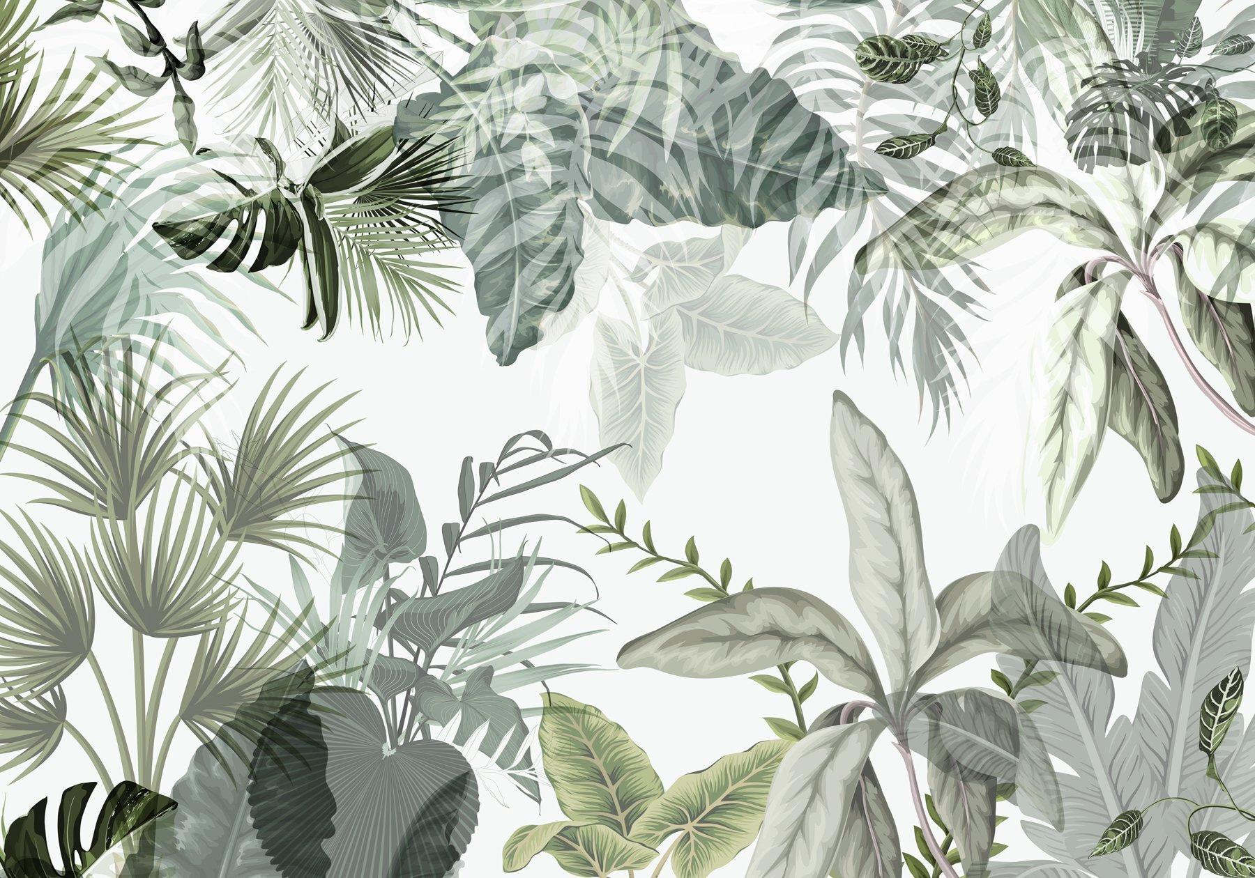 Nature's tranquil green tapestry unfolds