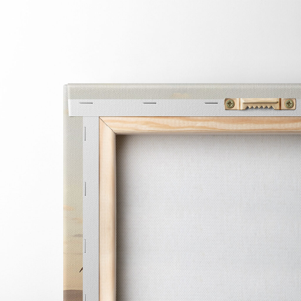 Birds flying over a beach