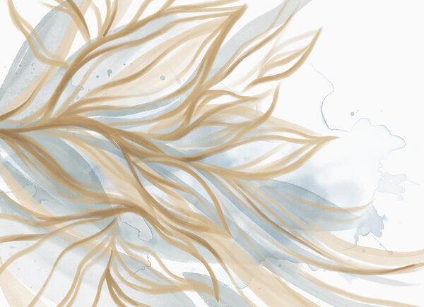 Flowing lines of natural beauty Flowing lines of natural beauty