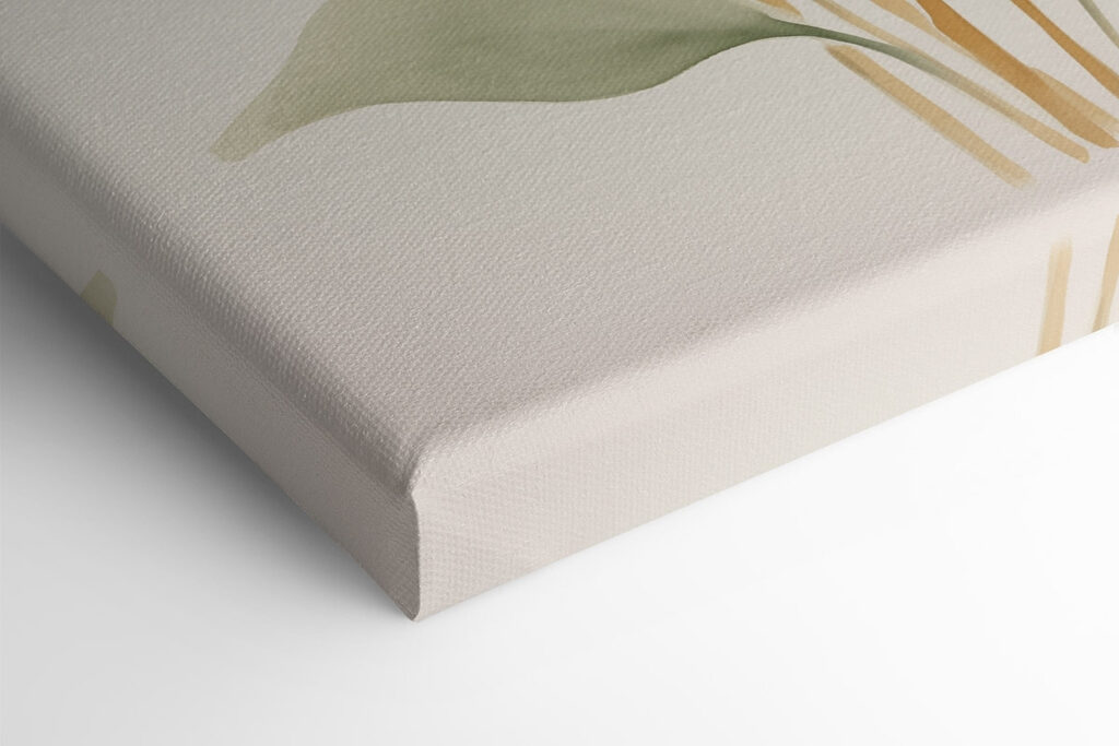 Group of leaves on a white background