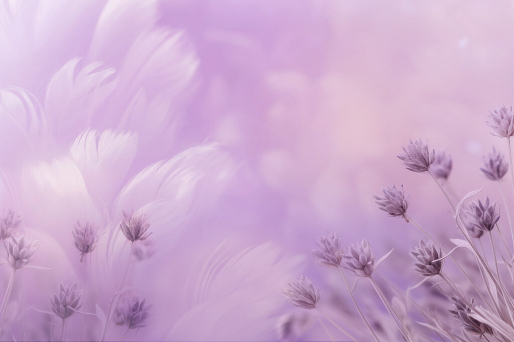 Soft petals in calming hues