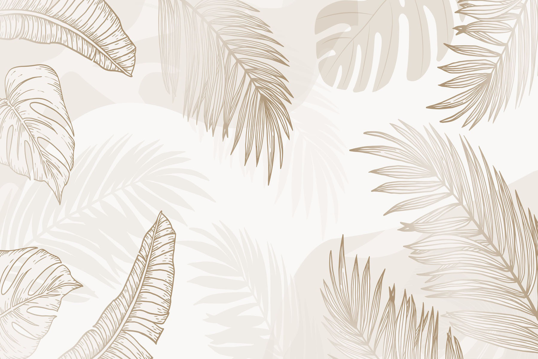 White background with brown leaves White background with brown leaves