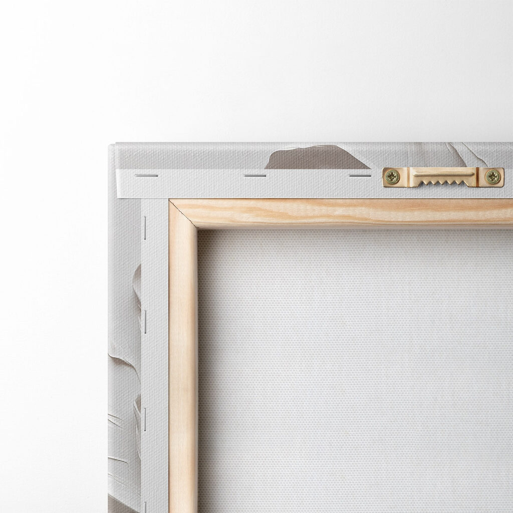 White flower with yellow center