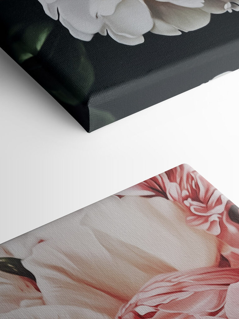 Vibrant blooms in full bloom Vibrant blooms in full bloom