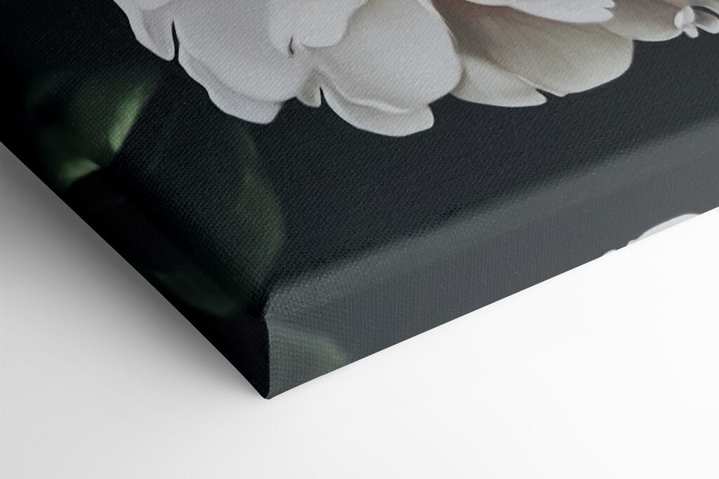 Vibrant blooms in full bloom Vibrant blooms in full bloom