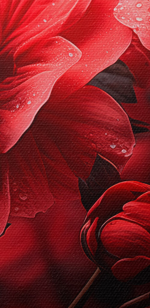 Group of red flowers