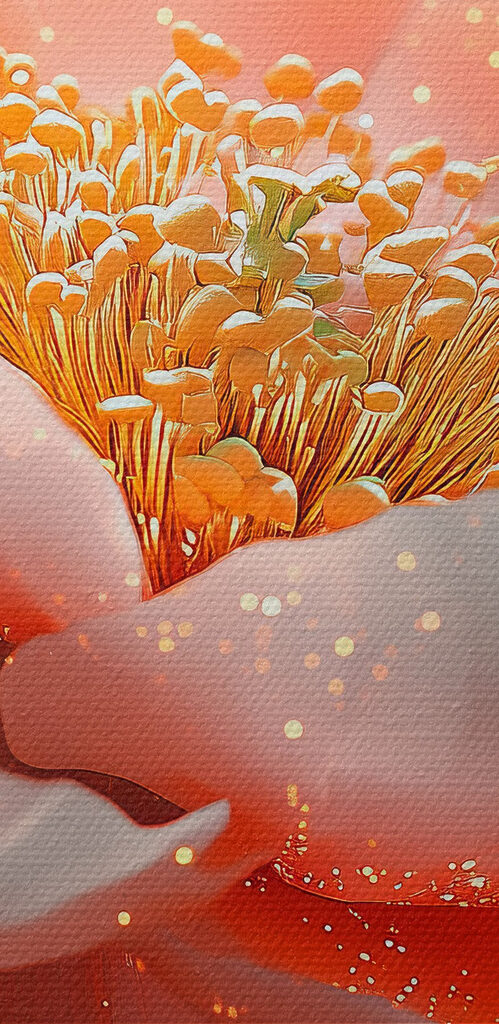 Delicate petals in soft hues