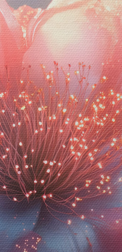 Delicate blooms in soft pastel hues