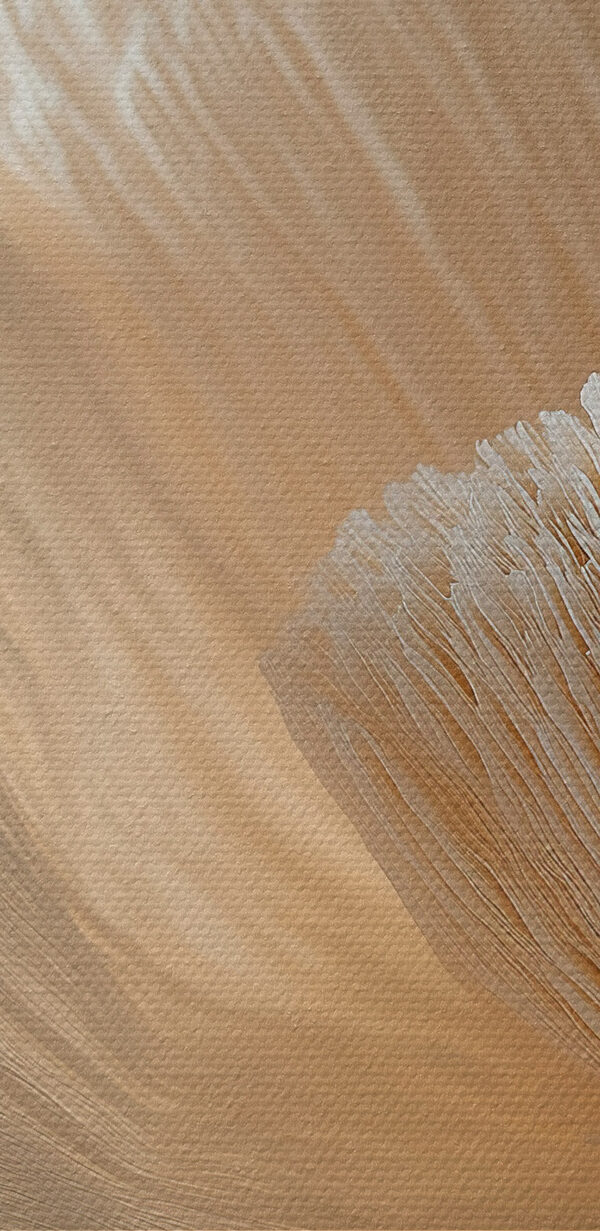 Finom textúrájú virágszirmok láthatóak Finom textúrájú virágszirmok láthatóak