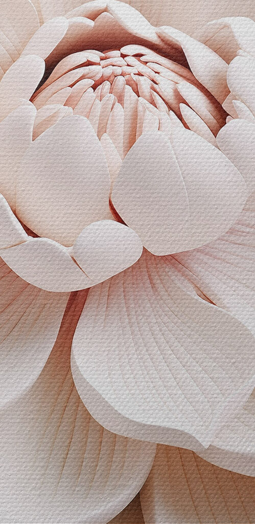 White flower with leaves