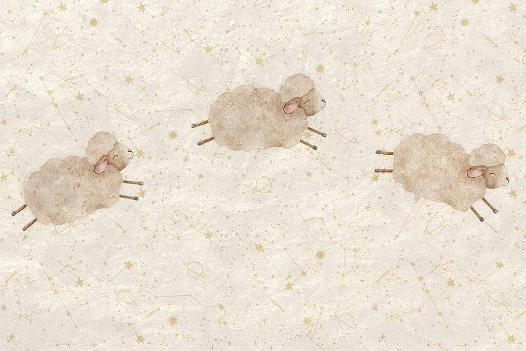 Group of sheep on a white background Group of sheep on a white background