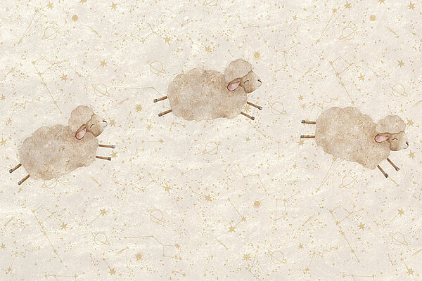 Group of sheep on a white background Group of sheep on a white background