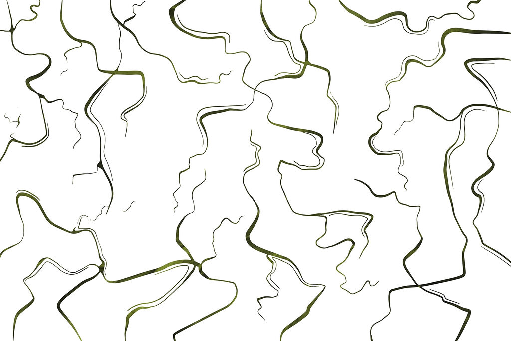 Flowing lines on a white canvas