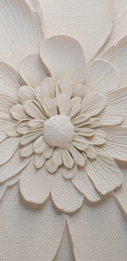 White flower with many petals White flower with many petals