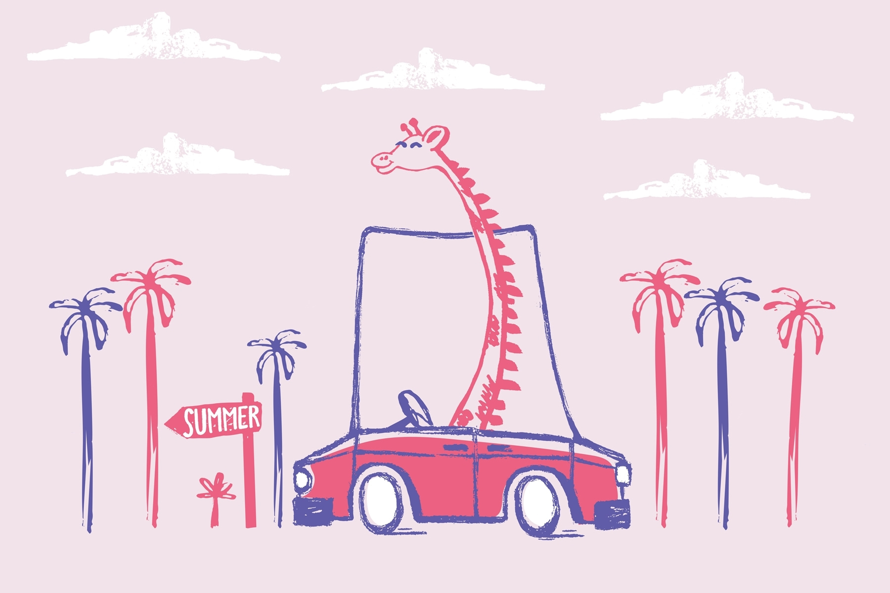 Giraffe in a car Giraffe in a car