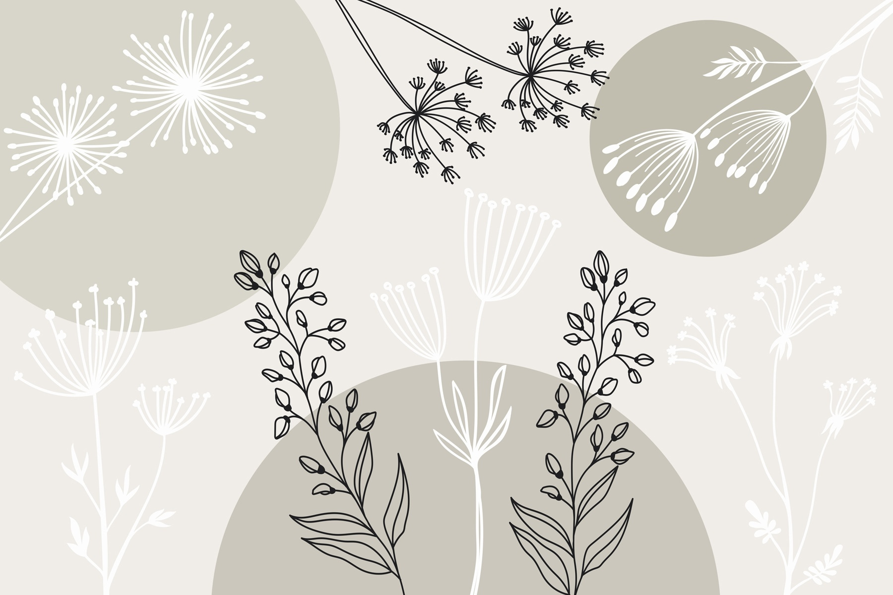 Drawing of flowers and plants