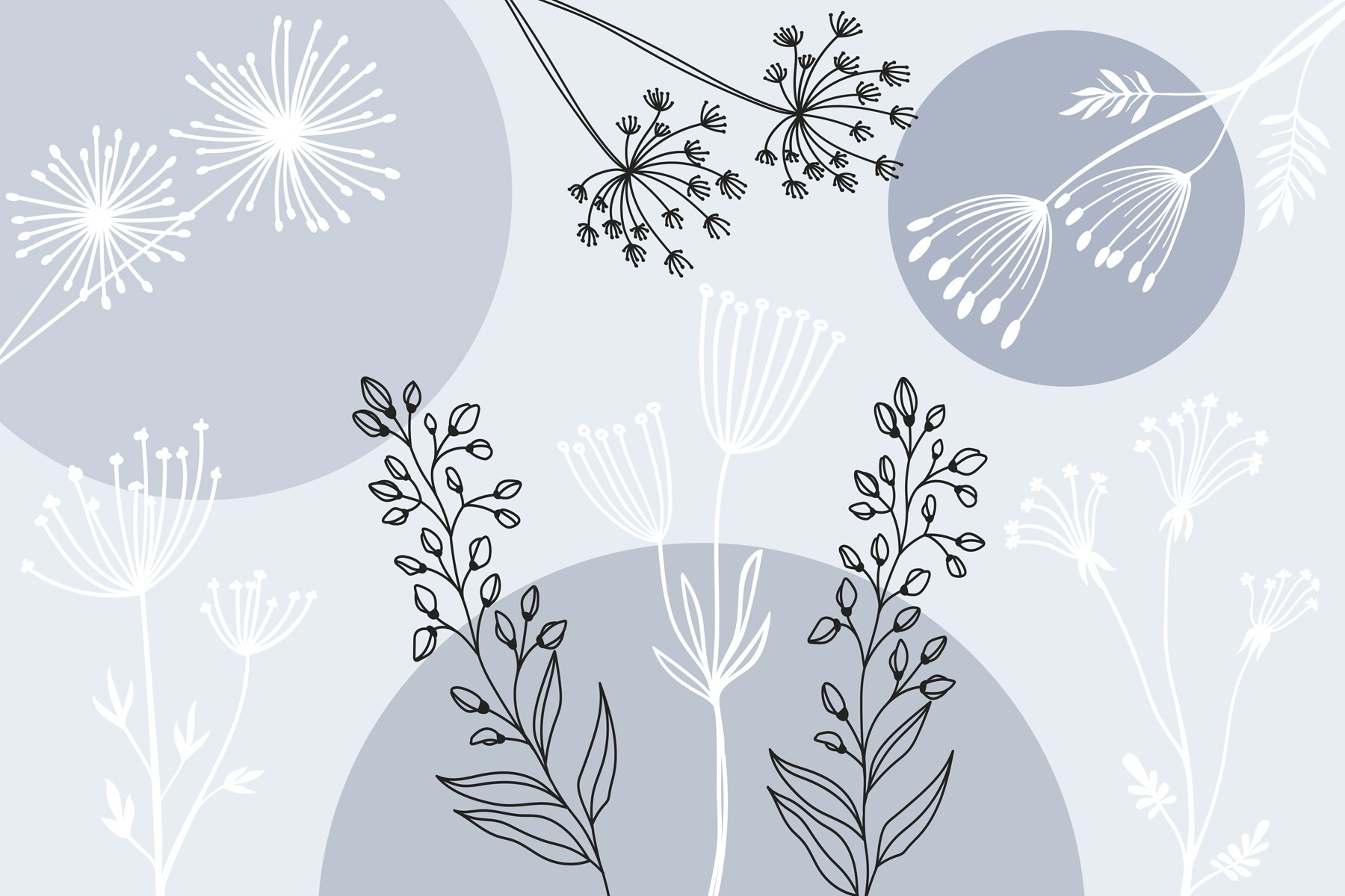 Drawing of flowers and plants Drawing of flowers and plants