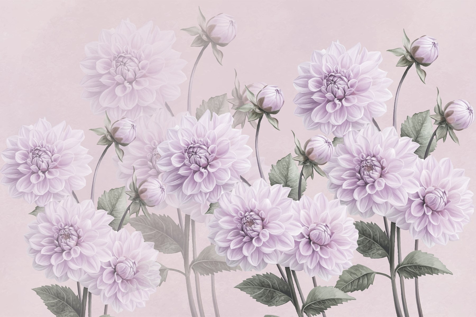 Group of purple flowers Group of purple flowers