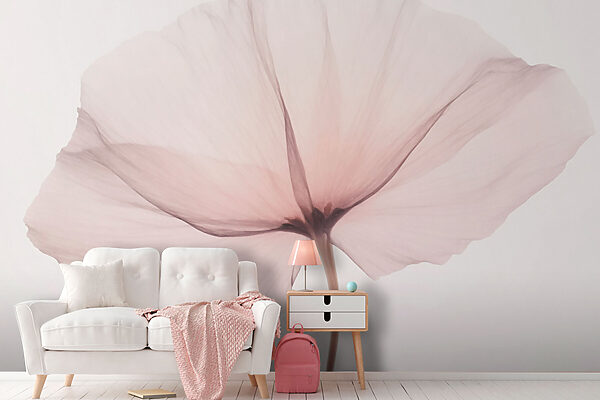 Delicate bloom on a soft backdrop