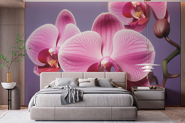 Finom orchideák lágy árnyalatokban Finom orchideák lágy árnyalatokban