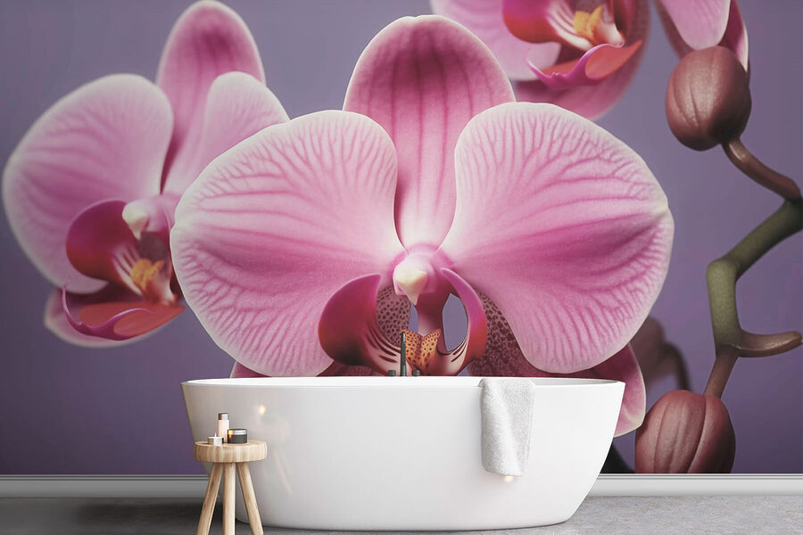Finom orchideák lágy árnyalatokban