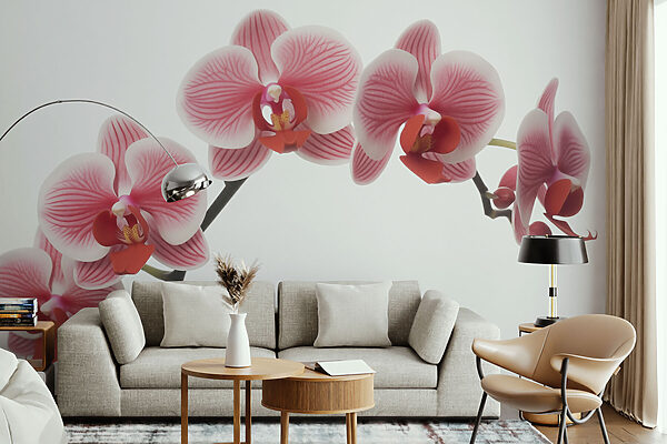 Finom orchideák szelíd virágzásban Finom orchideák szelíd virágzásban
