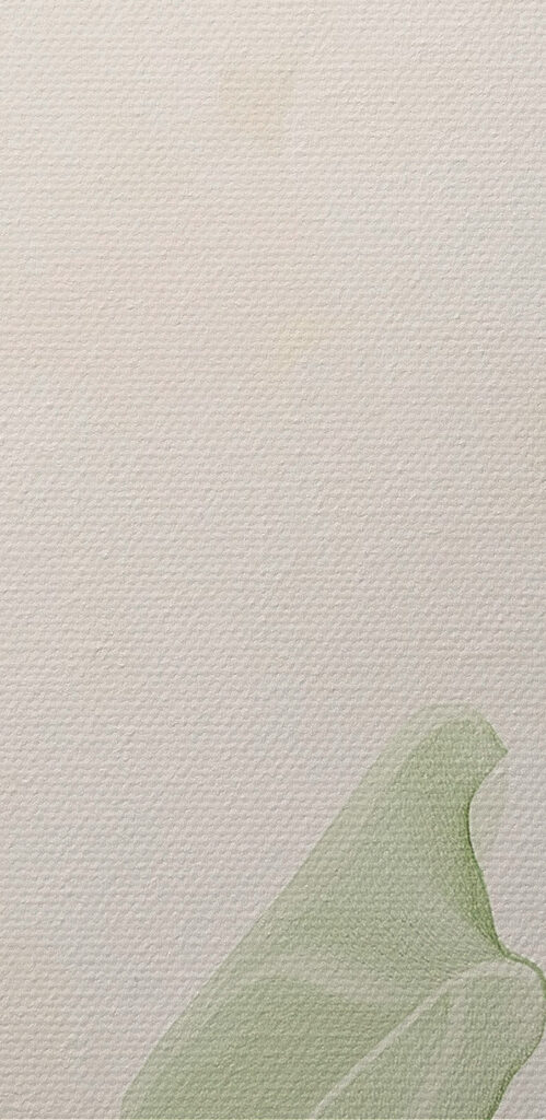 Serene greens in soft light