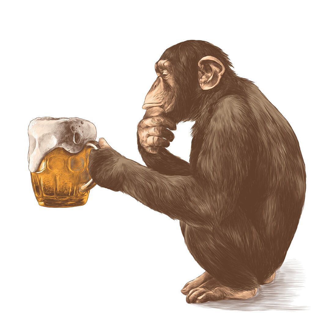 Monkey holding a mug of beer