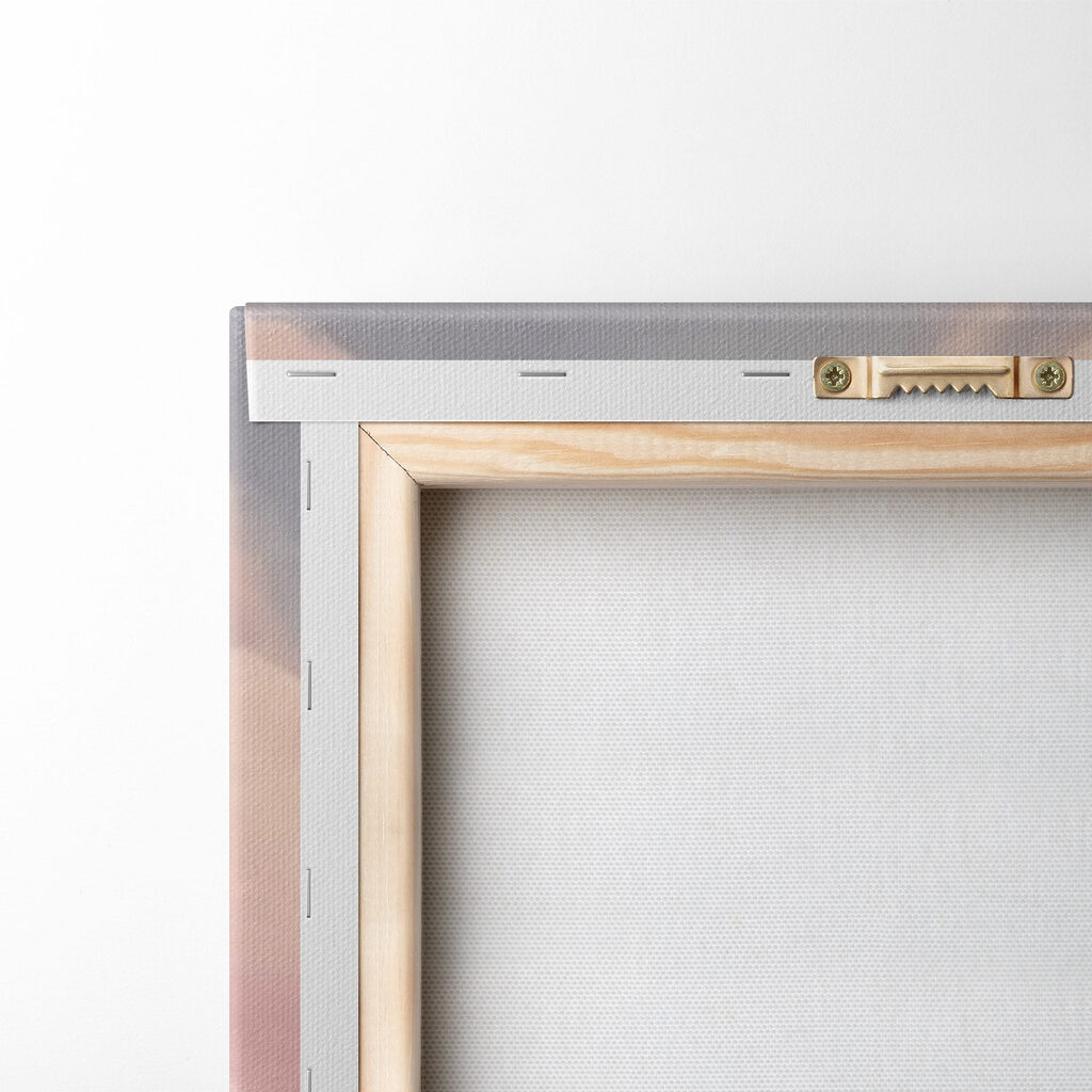 Pink clouds in the sky