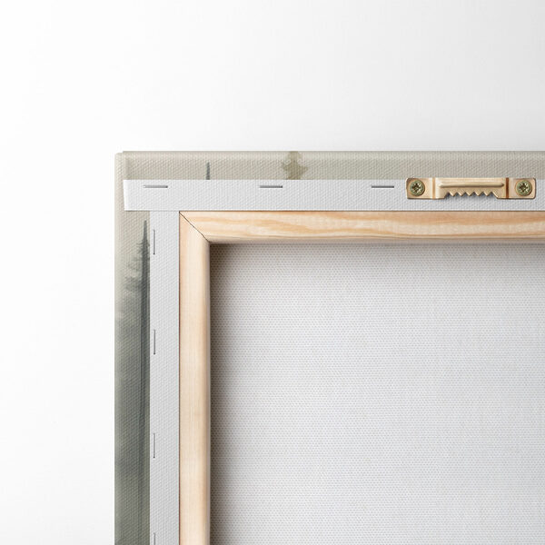 Foggy forest with trees