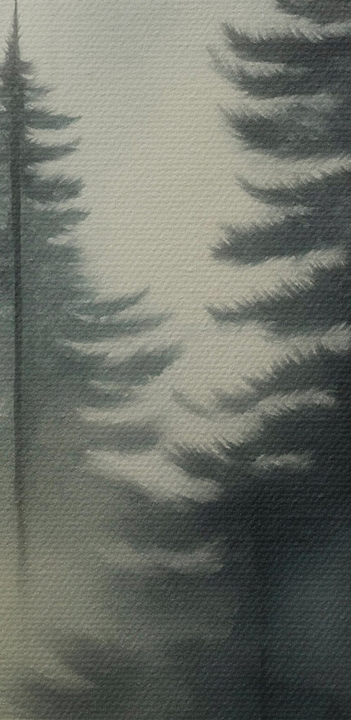 Foggy forest with trees