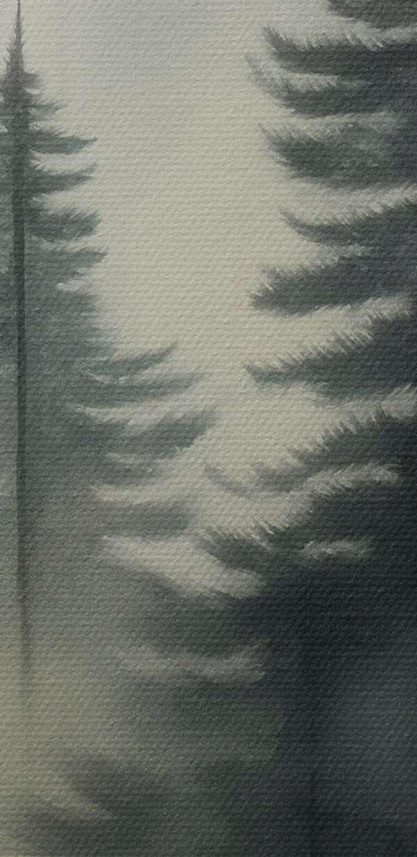 Foggy forest with trees