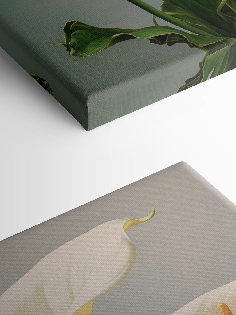 Elegant white blooms in soft light