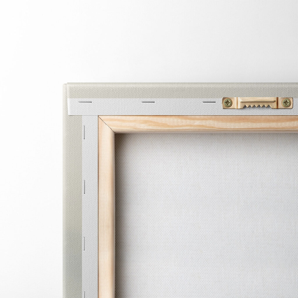 Group of trees in a forest