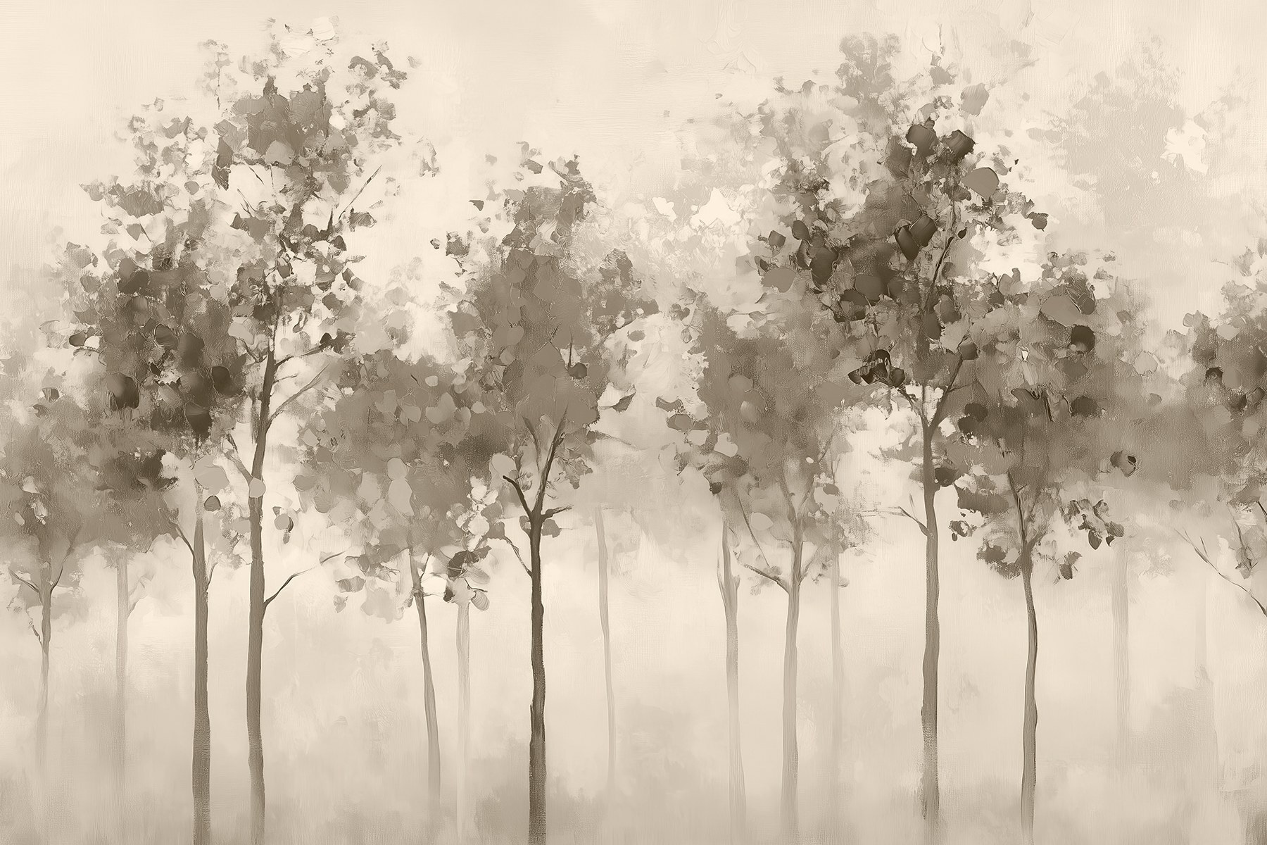 Group of trees in a foggy area Group of trees in a foggy area