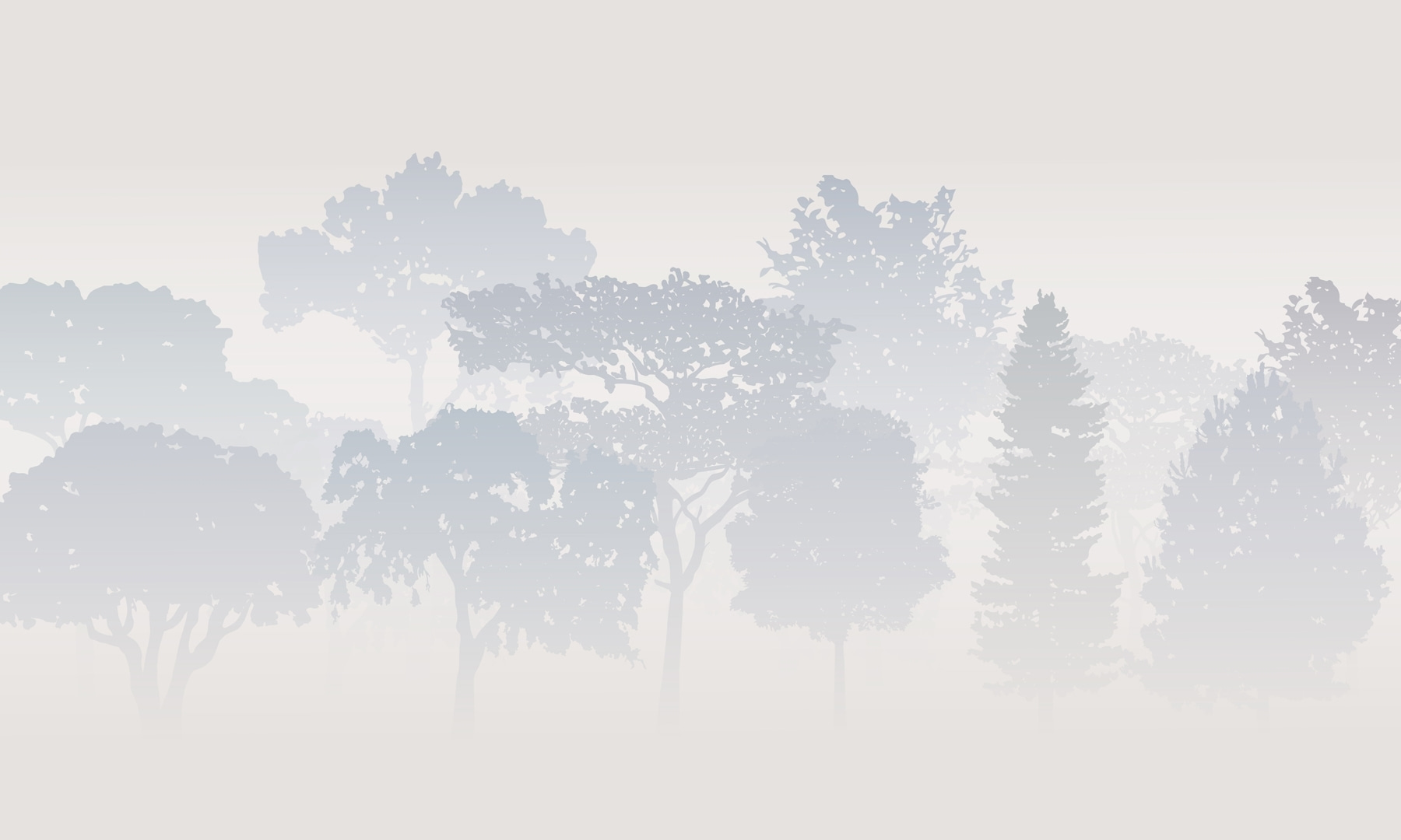 Group of trees in fog