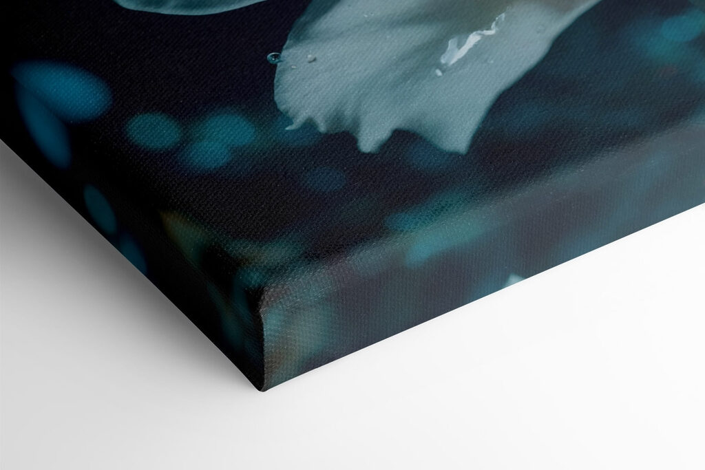 Delicate petals in tranquil waters