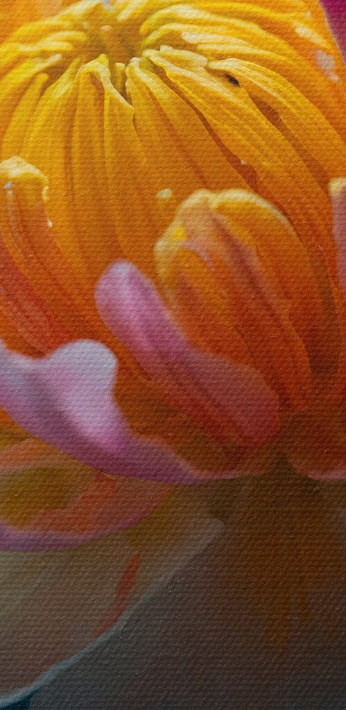 Delicate petals in tranquil waters