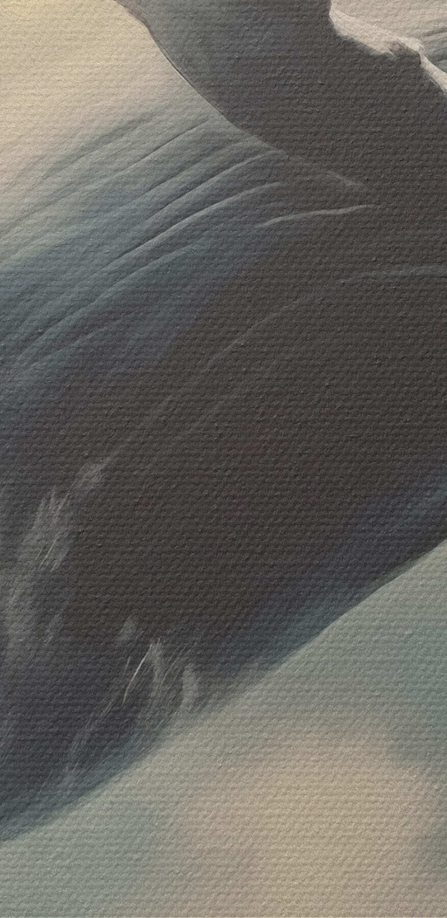 Canvas prints Whale jumping out of the water
