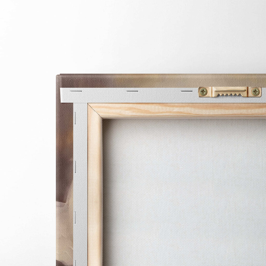 Elegant rose in soft hues