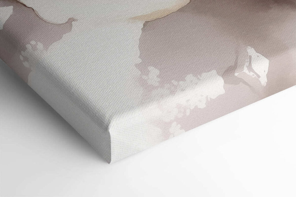 White flower with brown center White flower with brown center