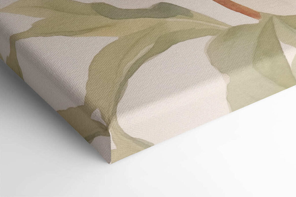 White flower with green leaves White flower with green leaves