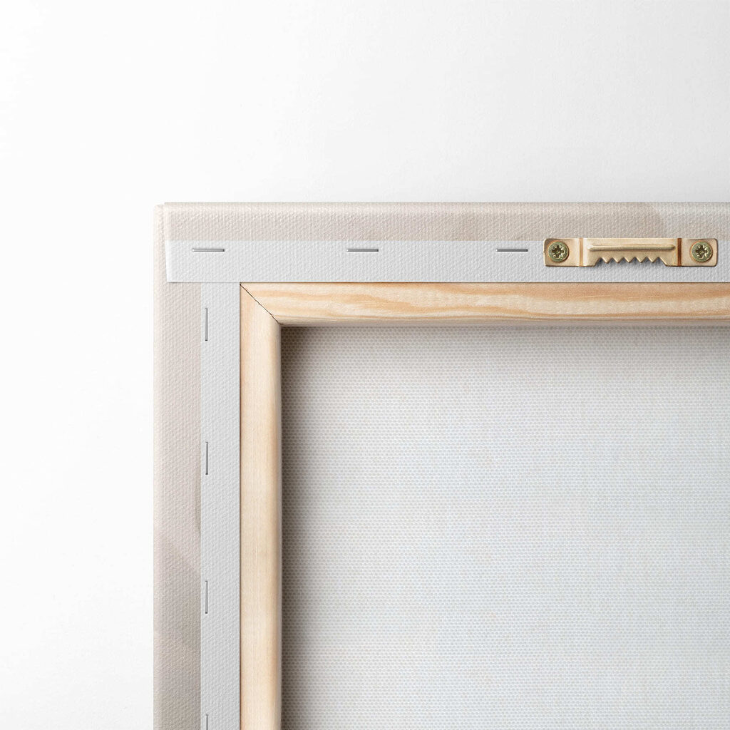 White flower with green leaves White flower with green leaves