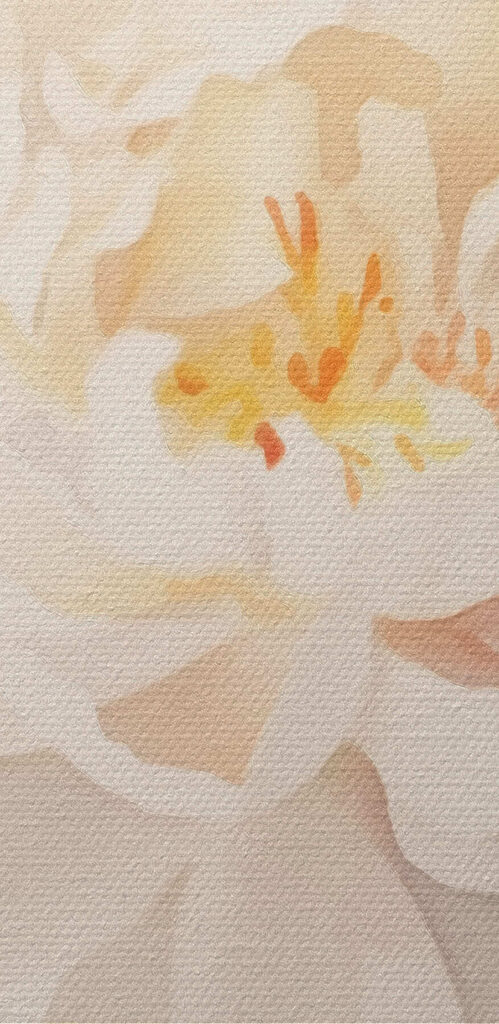 White flower with green leaves White flower with green leaves