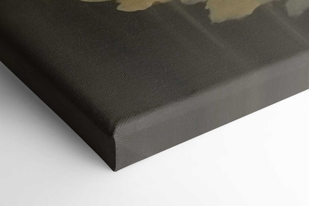 Group of white flowers