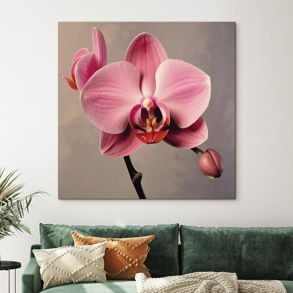 Finom rózsaszín orchidea teljes virágzásban Finom rózsaszín orchidea teljes virágzásban