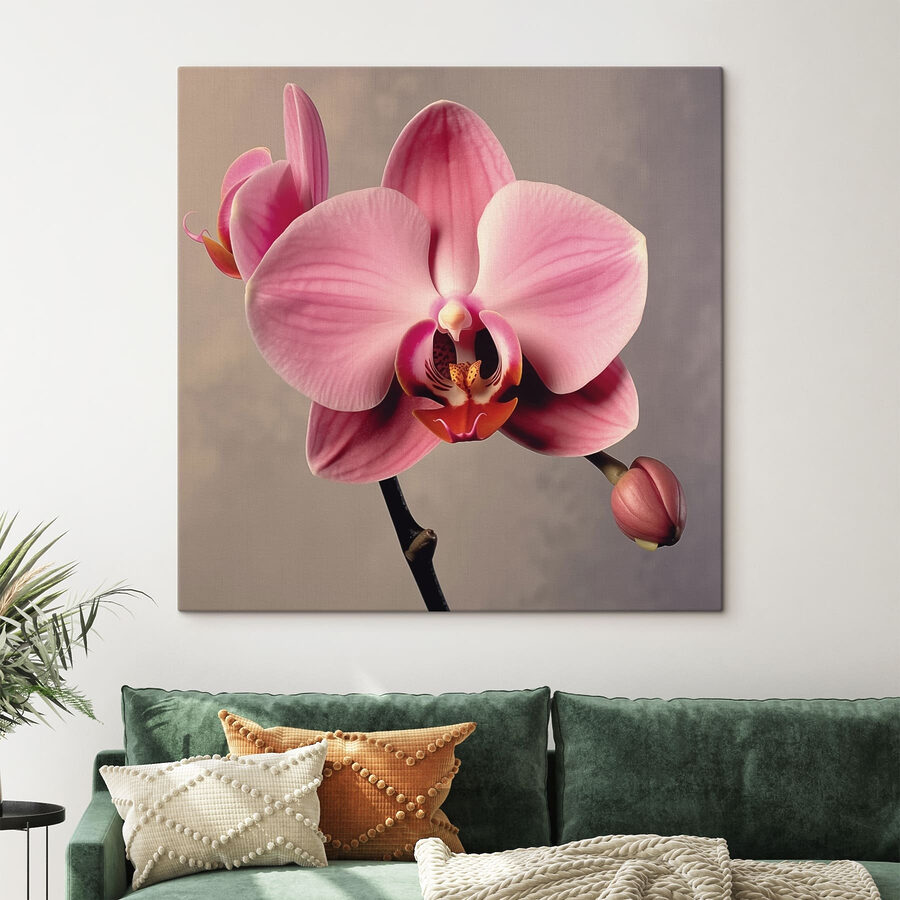Finom rózsaszín orchidea teljes virágzásban