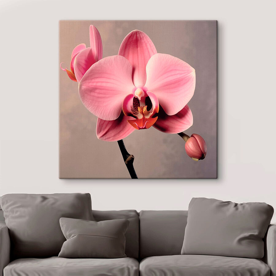 Finom rózsaszín orchidea teljes virágzásban