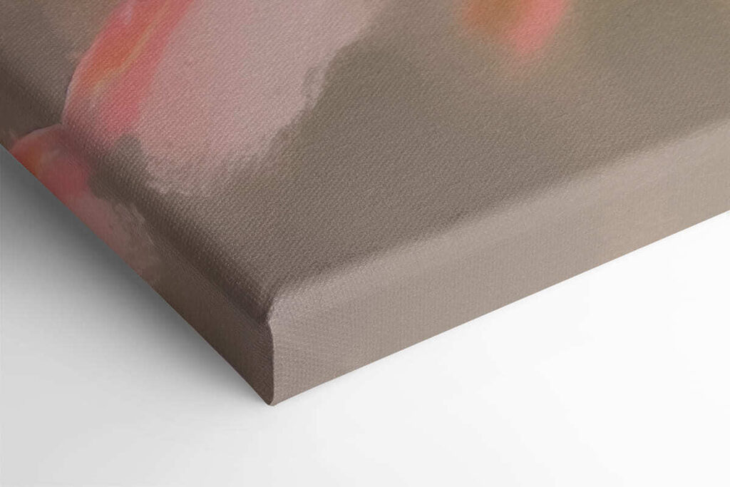 Delicate petals in soft hues Delicate petals in soft hues