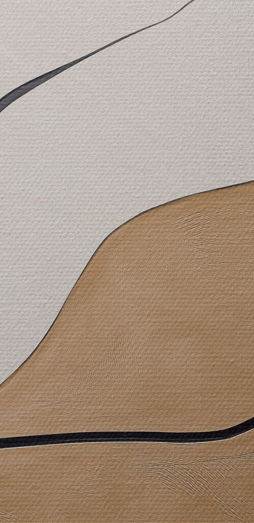 Black and white and brown lines